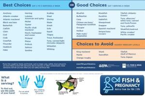 Eat Fish Shellfish Advice and Options
